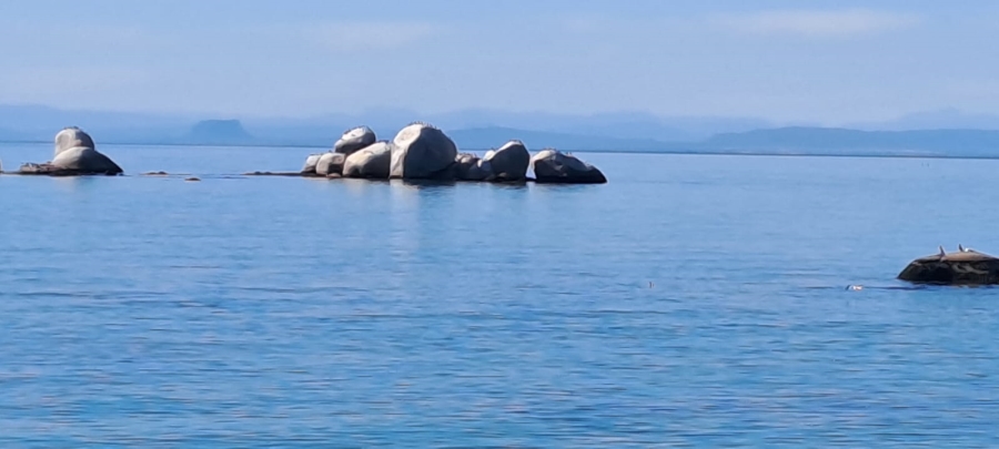 0 Bedroom Property for Sale in Da Gama Bay Western Cape